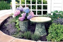 birdbath