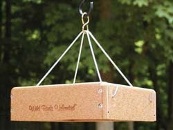 Seed Tray