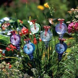 parasol lollipop