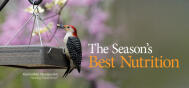 EDU Nesting Nutrition 2102E